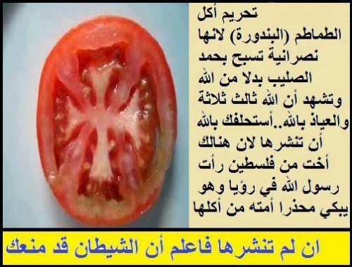 islam-tomato.jpg